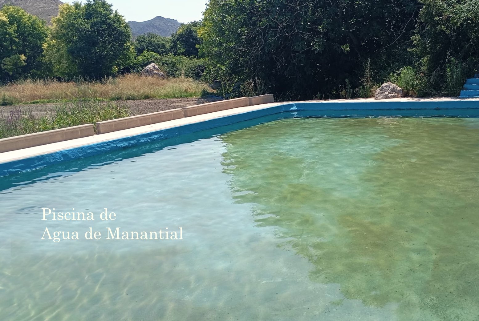 Piscina de agua de manantial cerca de Alborea